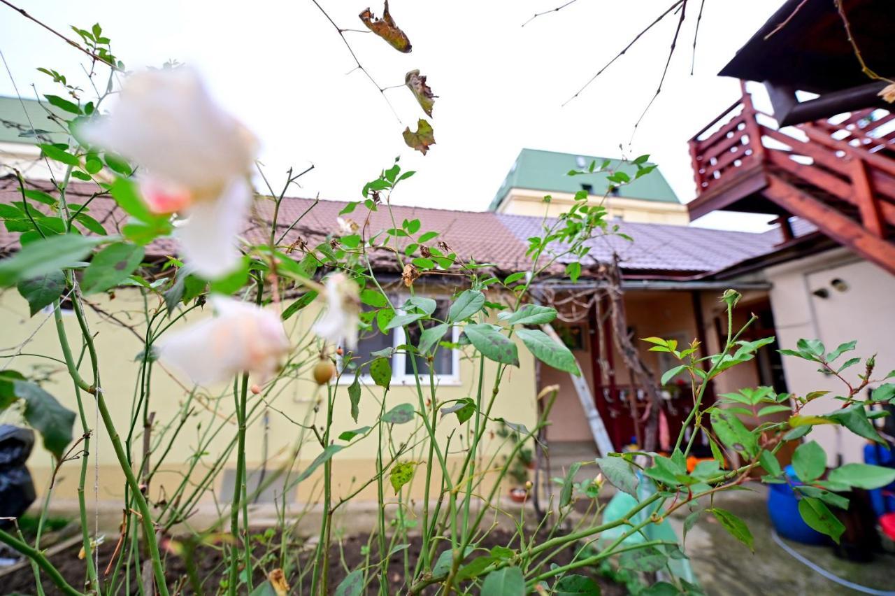Flh - Kaly'S Place 锡比乌 外观 照片